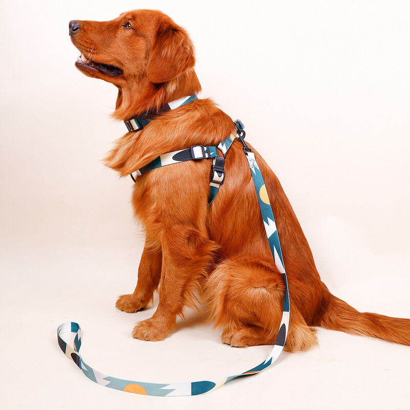 1 vnt. naminių gyvūnėlių abstrakčių krūtinės ir pakinktų rinkinys, šunų diržų pavadėlis, šunų vedžiojimo pavadėlis, šuns antkaklio trijų dalių rinkinys