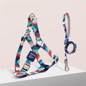 Šunų diržų liemenė ir pavadėlio rinkinys naminių gyvūnėlių liemenių petnešos Reguliuojamas šunų pavadėlis Kvėpuojantis naminių gyvūnėlių diržas mažiems ir vidutiniams šunims Naminių gyvūnų reikmenys