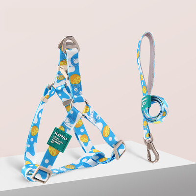 Šunų diržų liemenė ir pavadėlio rinkinys naminių gyvūnėlių liemenių petnešos Reguliuojamas šunų pavadėlis Kvėpuojantis naminių gyvūnėlių diržas mažiems ir vidutiniams šunims Naminių gyvūnų reikmenys