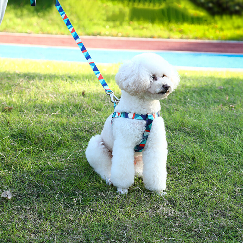 Šunų diržų liemenė ir pavadėlio rinkinys naminių gyvūnėlių liemenių petnešos Reguliuojamas šunų pavadėlis Kvėpuojantis naminių gyvūnėlių diržas mažiems ir vidutiniams šunims Naminių gyvūnų reikmenys