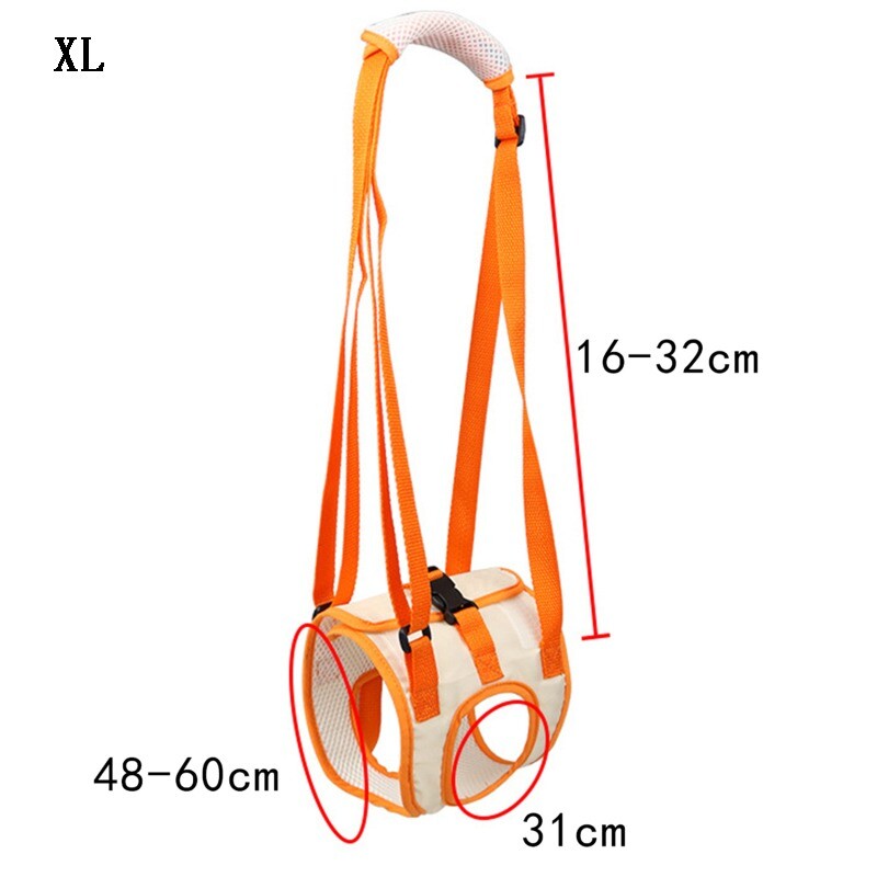Naudingi naminių gyvūnėlių traukimo pagalbiniai diržai reabilitaciniai pratimai pusiausvyros diržai užpakalinės kojos negalios sužalotam senyvo amžiaus šuniui