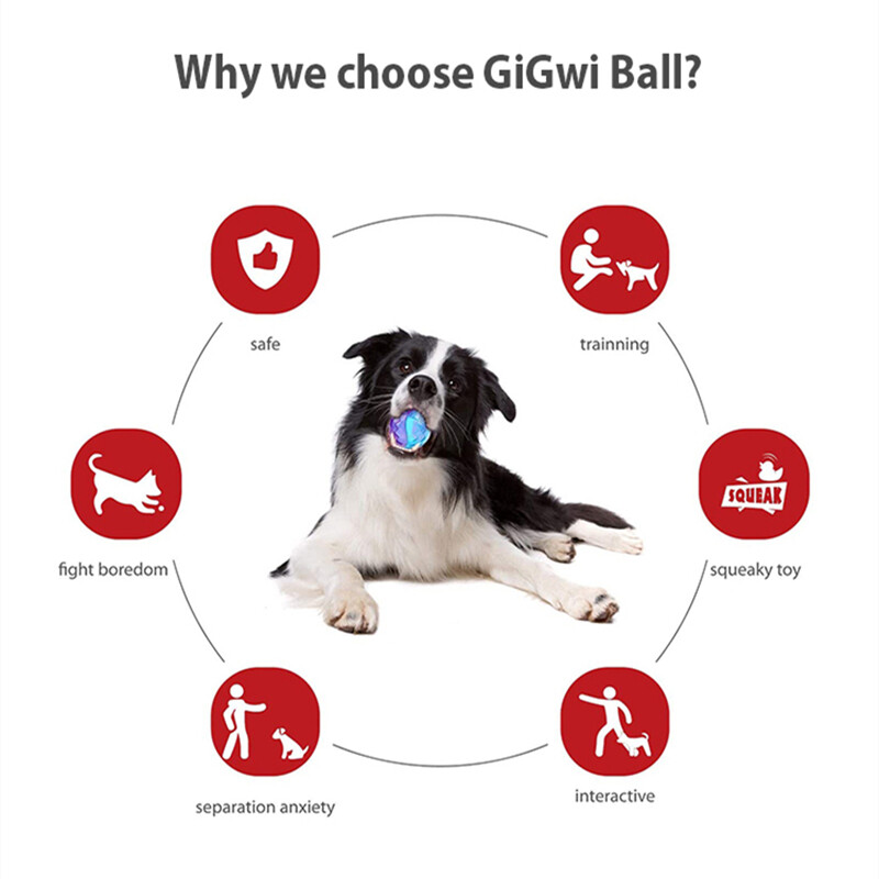 Gigwi Pet Toys G-Ball serijos interaktyvūs šunų kamuoliukai šunų žaislai girgždantys kamuoliukai 2,5 colio šokinėjantys ir įvairių spalvų mažiems/vidutiniams šunims
