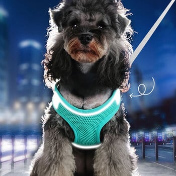 MADDEN Dog Cat Harness Vest Комплект въжета за гърди Светлоотразителен дишащ регулируем колан за домашни любимци за малки средни кучета Разходка на открито