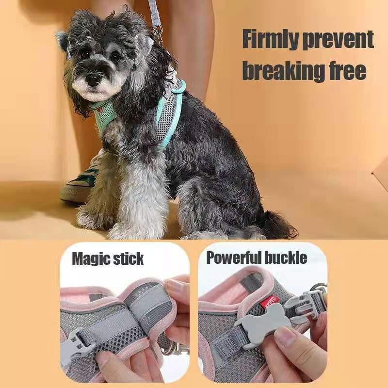 MADDEN Ham pentru câini, pisici, vestă, set de frânghii, reflectorizant, respirabil, reglabil, pentru câini de talie mică, mijlocie, plimbări în aer liber