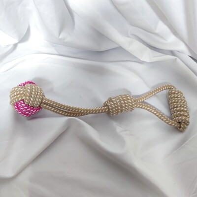 1 vnt. 25 cm naminių gyvūnėlių reikmenys Aukštos kokybės naminių šunų žaislai Minkšti plastikiniai kaulo formos virvė šuniuko dantukų valymas lauke linksmas treniruojamas kramtomas žaislas