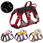 Šunų diržas reguliuojamas lauko treniruočių pavadėlis, skirtas mažiems dideliems šunims, liemenė, šviesą atspindinti šuniuko krūtinės juosta Prancūzų buldogas