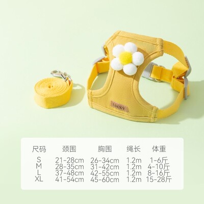 Lesă de câine Curea de piept Lanț Teddy Cățeluși Mici Ies la Plimbare Pisică