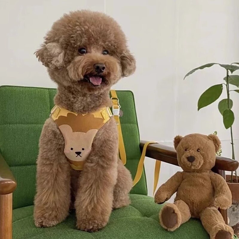 Lesă de câine Curea de piept Lanț Teddy Cățeluși Mici Ies la Plimbare Pisică 