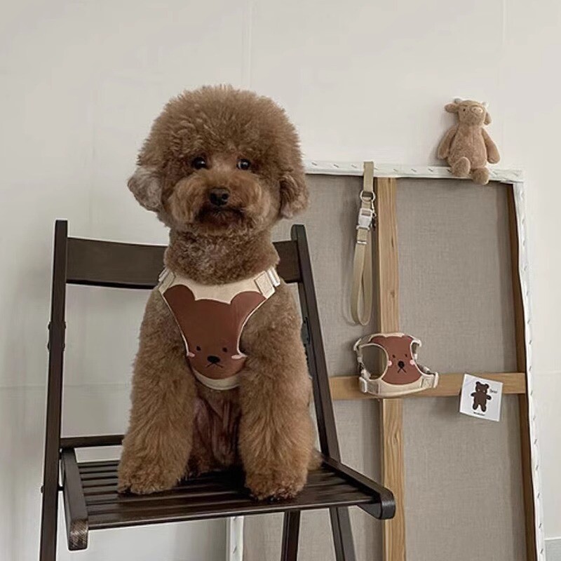 Lesă de câine Curea de piept Lanț Teddy Cățeluși Mici Ies la Plimbare Pisică 