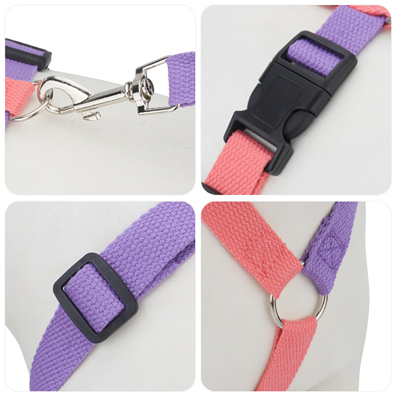 Set de ham și lesă pentru câini, fără tragere, pentru câini de talie mică și pisici