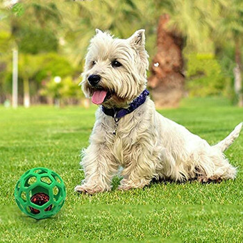 Παιχνίδι Dog Hollow Ball Labber Chew Toys for Dogs Cleaning Teeth Molar Resistant biteing with Bell Puppy Training Game Pet Supplies