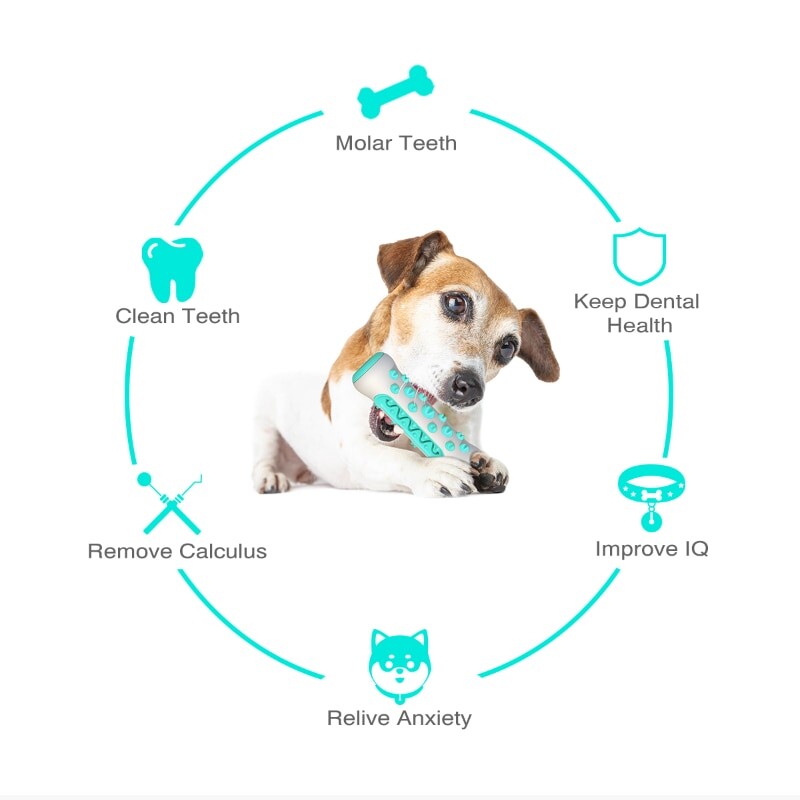 Jucărie pentru câini Bețișor de dentiție masticabil pentru curățarea oaselor pentru dinți Periuță de dinți pentru câini TPR sigură pentru îngrijirea dentară pentru câini Jucării pentru curățare