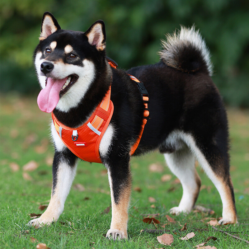 Postroj pre psov bez ťahania, nastaviteľný, stredne veľký, reflexný, letný, pre veľkých psov, pre huskyho, zlatého retrievera, príslušenstvo pre domáce zvieratá