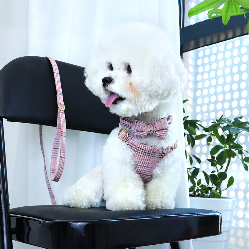 Nailono šunų antkaklio petnešų pavadėlio rinkinys Reguliuojamas šuniukų petnešėlės Liemenės Mielos Bowknot naminių gyvūnėlių antkakliai su švinu mažiems vidutiniams šunims