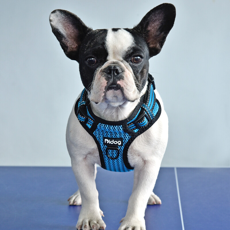 Ham pentru câini din nailon, ham reflectorizant pentru câini taur, hamuri pentru câini, fără tragere, ajustabil pentru câini de talie mică și mijlocie, cățeluș Pitbull