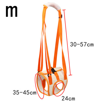 2024 m. Nauji reguliuojami šunų pakėlimo diržai užpakalinėms kojoms Naminių gyvūnėlių palaikymo diržas, padedantis silpnoms kojoms atsistoti naminiams šunims pagalbinis įrankis