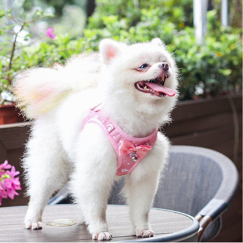 Set de ham și lesă pentru câini, pisici, foarte mici, mici și mijlocii, model de ancore, plasă, căptușit, ham pentru vestă pentru pisici, cu fundă cu clopoței