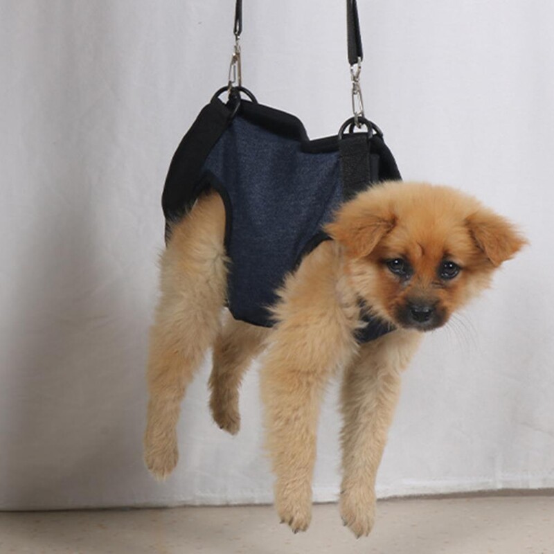 Šunų liemenių diržų atkūrimo diržas, reguliuojamas kvėpuojantis po operacijos gyvūno pagalbinis diržas, skirtas lauko veiklai