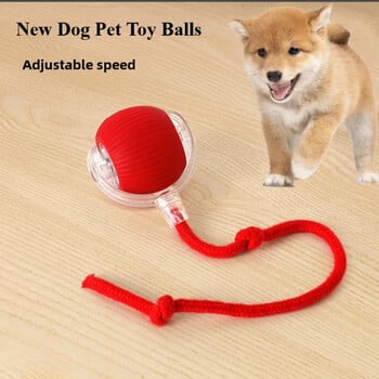 Επαναφορτιζόμενη Smart Pet Interactive Automatic Rolling Ball Toy Cats Προϊόντα για κατοικίδια Νέα Ηλεκτρική ουρά για γάτα με παιχνίδι με μπάλα για σκύλους