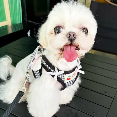 Kvėpuojantis braškių raštas Katės šunų diržų antkaklis Escape Pet sparnų diržų pavadėlio rinkinys kačiuko šuniuko čihuahua miela krūtinės liemenė