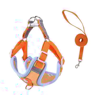 Šuns pavadėlio rinkinys Reguliuojamas šviesą atspindintis šuns antkaklis šuns pavadėlis Mažo ir vidutinio šuns priedai šuniukų pakinktai Pomeranian