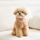 Mielas lokys naminių šunų petnešų pavadėlis mažam ir vidutiniam šuniui vaikščiojantis šuniukas bichonas šnauceris šunų krūtinės diržų rinkinys naminių gyvūnėlių reikmenys