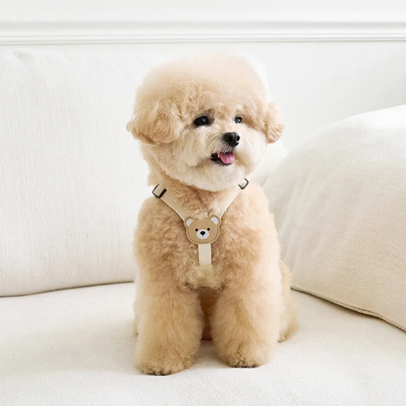 Mielas lokys naminių šunų petnešų pavadėlis mažam ir vidutiniam šuniui vaikščiojantis šuniukas bichonas šnauceris šunų krūtinės diržų rinkinys naminių gyvūnėlių reikmenys