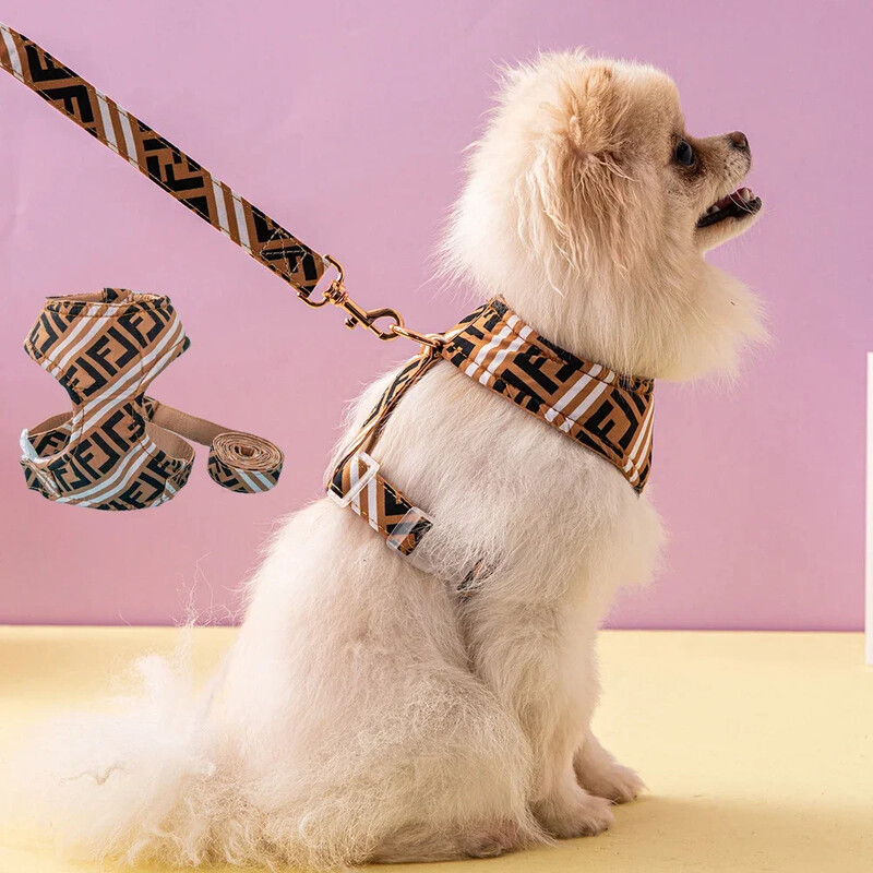 Augstas kvalitātes mājdzīvnieku siksnas Veste kucēnu suņu kaklasiksna Regulējama sieta zirglieta maziem un vidējiem suņiem Kaķēnu aksesuāri Kucēna pavadas komplekts