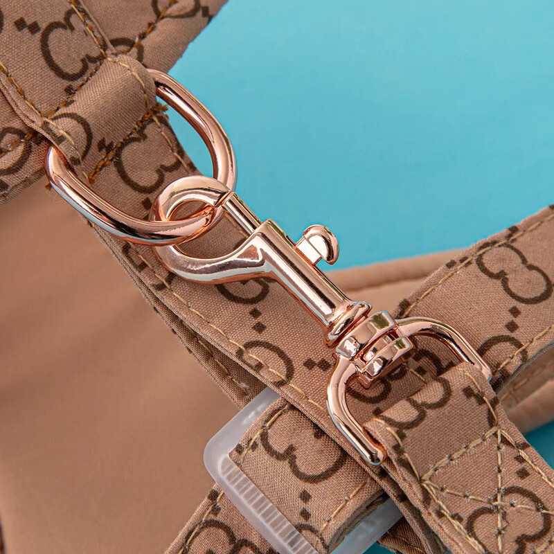 Augstas kvalitātes mājdzīvnieku siksnas Veste kucēnu suņu kaklasiksna Regulējama sieta zirglieta maziem un vidējiem suņiem Kaķēnu aksesuāri Kucēna pavadas komplekts