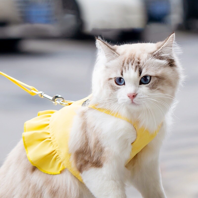 Drabužiai naminiams gyvūnėliams Patogūs šunų diržai Madingi šuniukų diržai, liemenės šunims, kelionėms lauke, prancūzų buldogų naminių gyvūnėlių priedai
