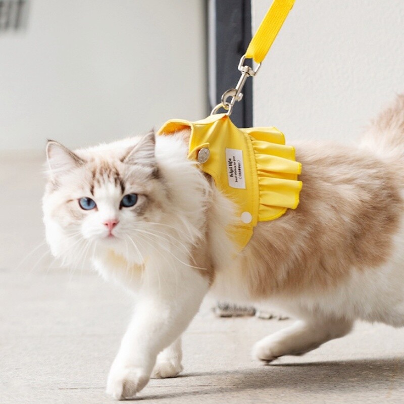 Drabužiai naminiams gyvūnėliams Patogūs šunų diržai Madingi šuniukų diržai, liemenės šunims, kelionėms lauke, prancūzų buldogų naminių gyvūnėlių priedai