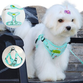 Sada postrojov a vodítok pre psov s potlačou dinosaurov, reflexné priedušné hrudné popruhy pre malé psy, maltézska čivava, potreby pre šteniatka
