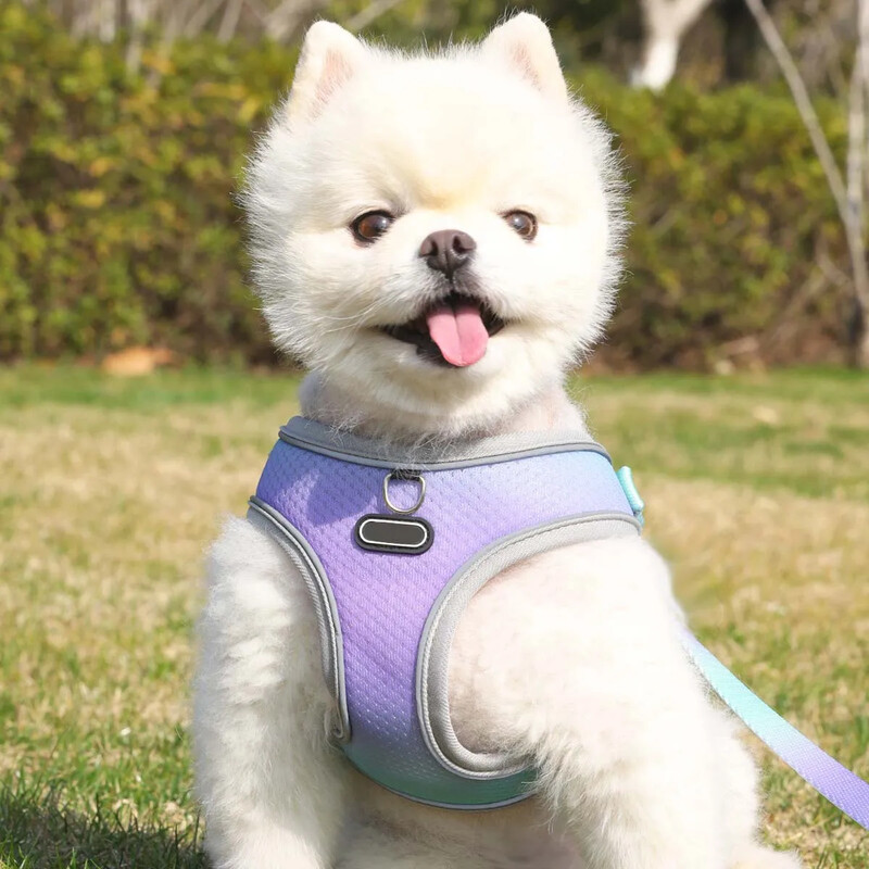 1 tk Pet Step-in koerarakmed, reguleeritavad peegeldavad pehmed koerarakmed, hingavad koeravesti rakmed kasside kutsikale