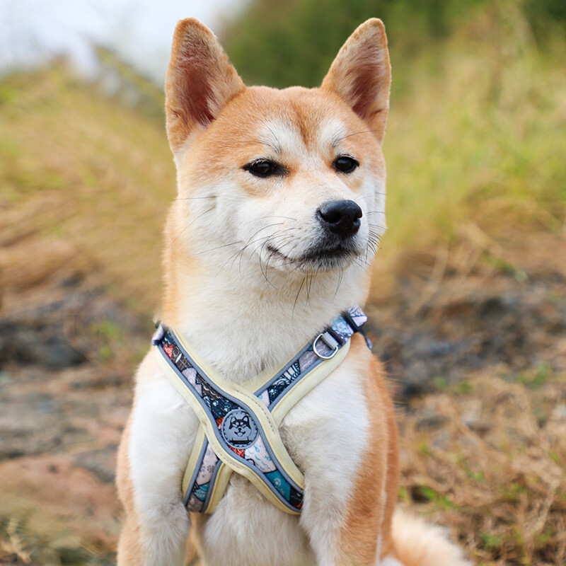 Uued lemmikloomad koertele tarvikud helendavad reguleeritavad rakmed koertele kutsikate vesti kaelarihm Prantsuse buldog keskmine väike suur koer