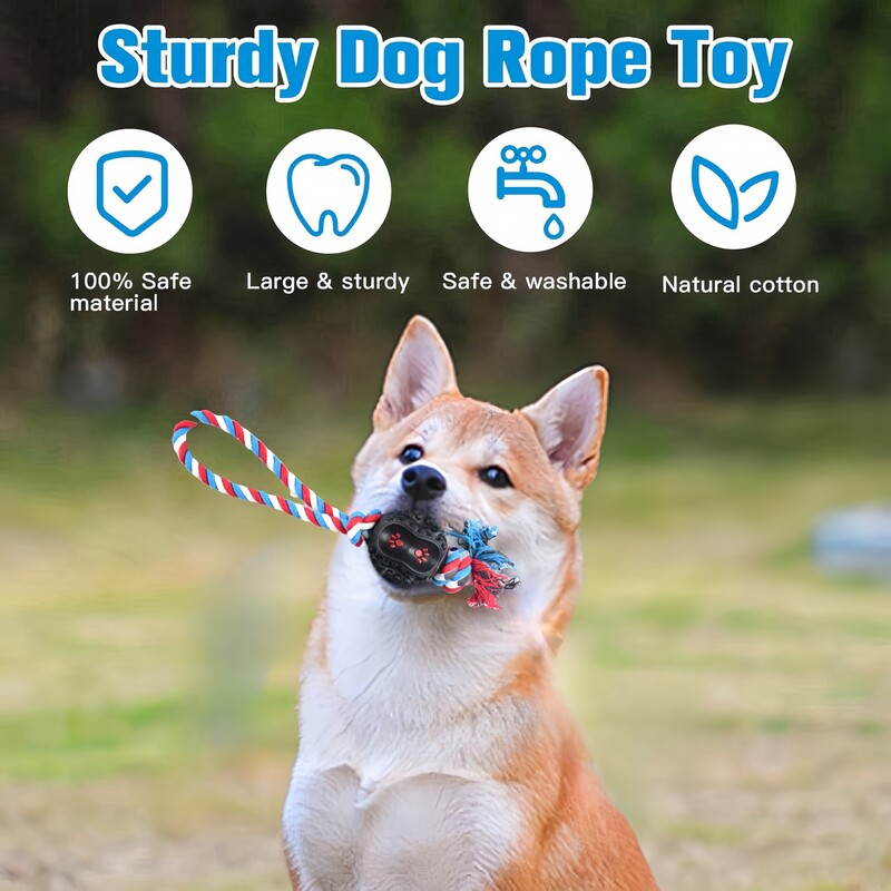 Šunų žaislas Virvė Kamuolys Žaislai šunims Valyti dantis Kramtomas Žaislas Interaktyvus treniruojamasis Žaislas Šuns Žaislinis kamuolys su virvele Naminių gyvūnų reikmenys