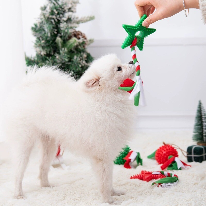 Šuns žaislas snaigė Kalėdų eglutės mazgas, atsparus įkandimams meškiukas