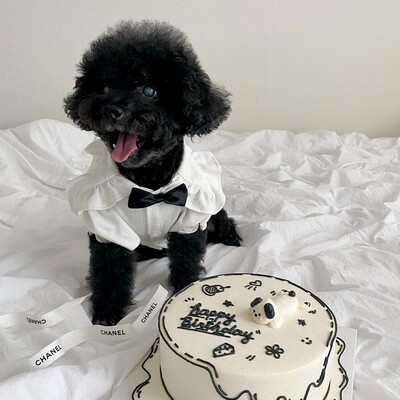 Rūbai šuniui Vasaros prabangūs naminiai languoti dryžuoti sijonai, skrybėlės, liemenės, komplektas šuniuko suknelės čihuahua bichon jorkiečio šuns kostiumas, 2024 m.