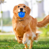 Naminių šunų žaislai Kačių šuniukas Skambantis žaislas girgždantis dantų valymo kamuolys TPR mokymas naminių gyvūnėlių dantims kramtomas žaislas spygliuočių kamuoliukai naminių gyvūnėlių priedai