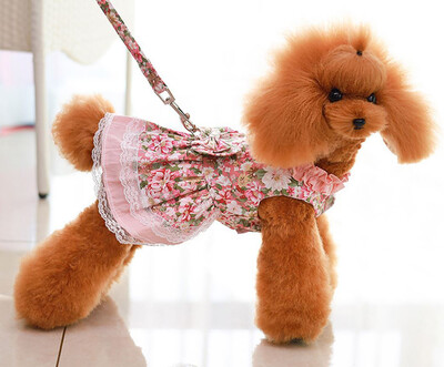 Haljina za pse i mačke s cvijetom i mašnom s odgovarajućim povodcem za pse Haljina za štene za kućne ljubimce Suknja Odjeća za proljeće/ljeto Odjeća