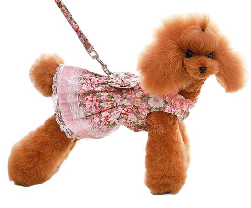 Haljina za pse i mačke s cvijetom i mašnom s odgovarajućim povodcem za pse Haljina za štene za kućne ljubimce Suknja Odjeća za proljeće/ljeto Odjeća