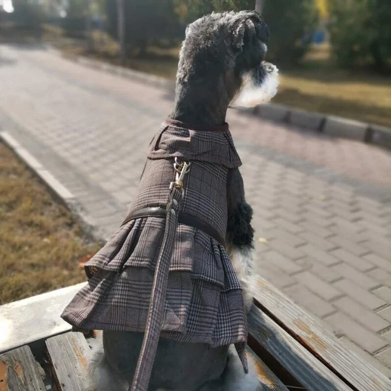 Žieminė šunų suknelė, petnešėlė Sijonas šuniui pavadėlis šuniuko kostiumai Jorkšyro Pomeranijos šnauceris pudelis mopsas Prancūzų buldogo drabužiai