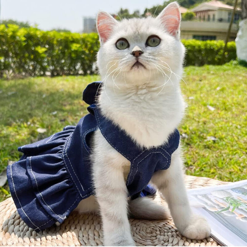 Džinsu kleitas suņiem maziem suņiem Vasaras kucēnu meitenes drēbes ar pavadas gredzenu jauks bantītis kaķu apģērbs sunītis pastaigu svārki