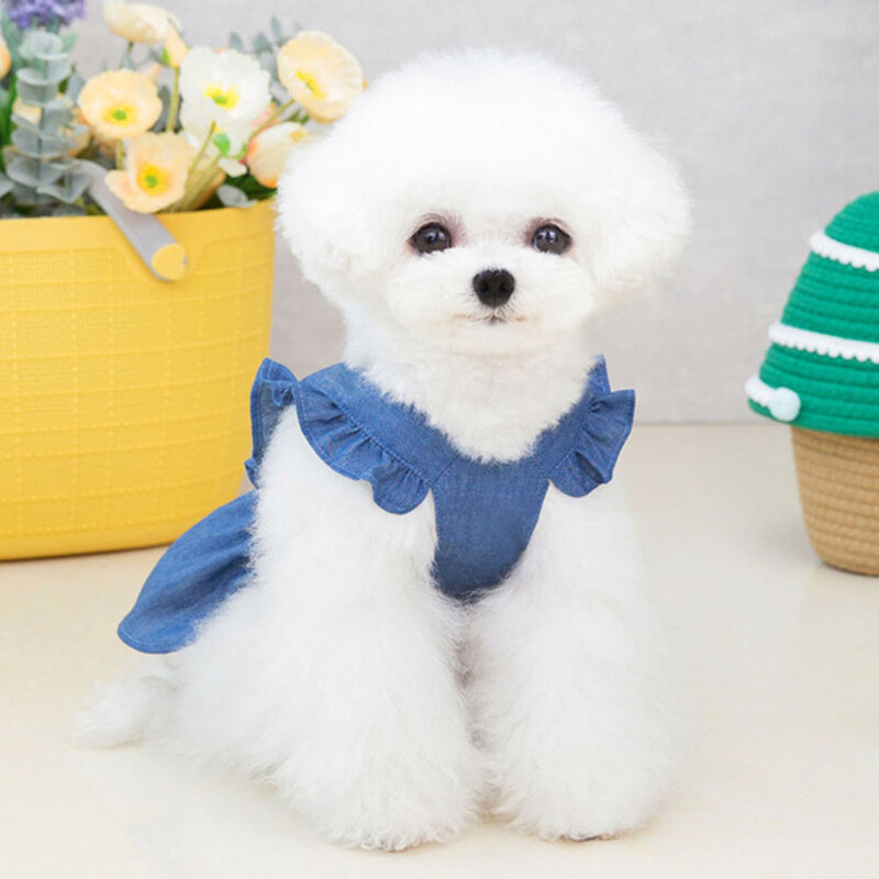 Väike koer õhuke teksasinine kleit väikestele koertele Armas printsessi koera seelik Kutsika tüdruku riided jalutusrihmaga Suvised lemmiklooma kassi rõivad