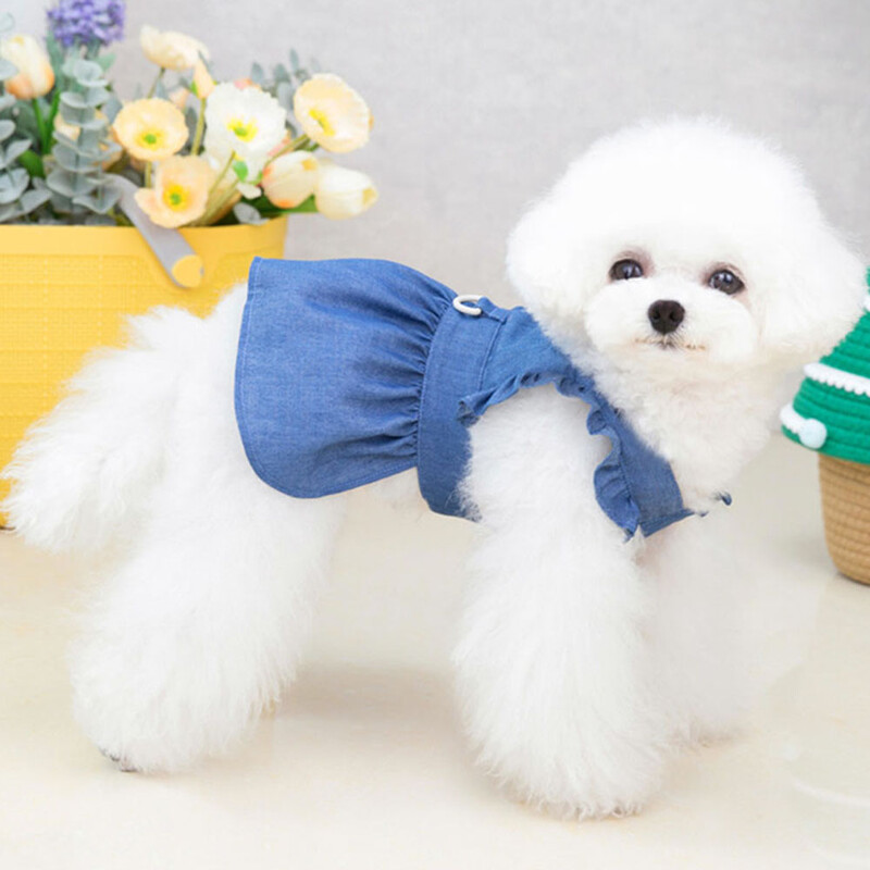 Väike koer õhuke teksasinine kleit väikestele koertele Armas printsessi koera seelik Kutsika tüdruku riided jalutusrihmaga Suvised lemmiklooma kassi rõivad