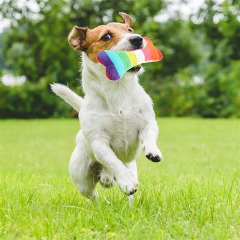 Сладка плюшена играчка за кучета Rainbow Bone Dog Colorful Dog Vocal Toy издръжливо куче, скърцащо със зъби, устойчиво на ухапване Плюшени с кости плюшени стоки за домашни любимци