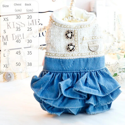 Prabangūs žiemos šunų paltai princesės šunų suknelės Elegantiški šunų drabužiai mažiems šunims su pavadėliu D žiedu