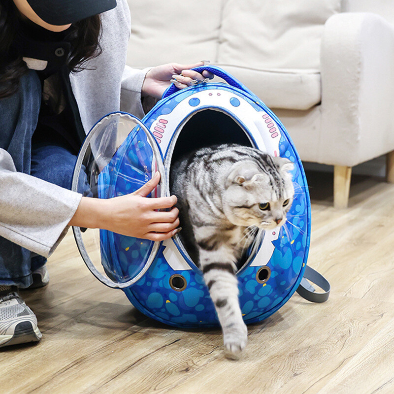 Naminių šunų nešiklio krepšio nešiklis šunims, kuprinė iš dviejų pečių, nešiojama kelioninė kuprinė lauko šunų nešiklio krepšio kelioninis rinkinys