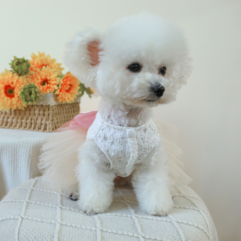 1 vnt. augintinio drabužiai katės vasarinė balta vestuvinė suknelė princesė suknelė su traukiama sagtimi, tinka mažiems ir vidutinio dydžio šunims