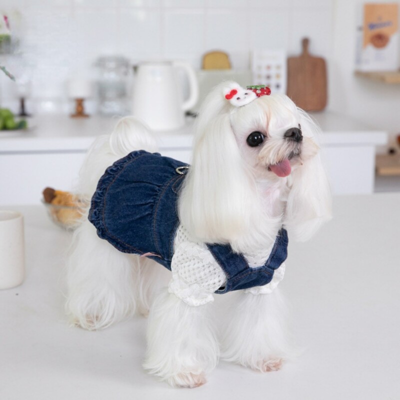 Animal de companie Toamnă Iarnă Drăguț Traction Fusta Denim Rochie Curea Rochie Animal de companie Îmbrăcăminte pentru câini Haine pentru câini de pluș pentru câini de talie mică