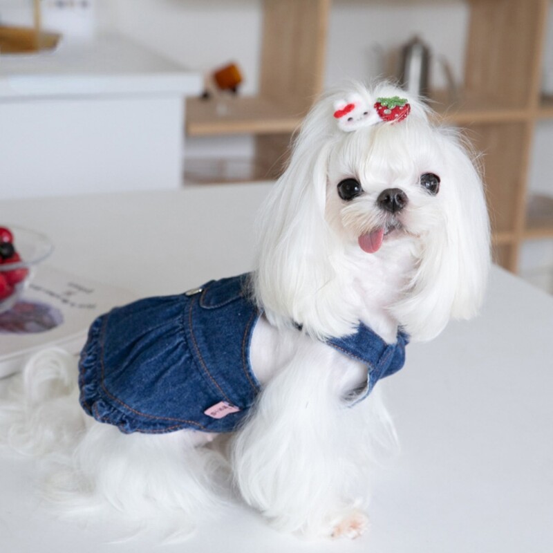 Animal de companie Toamnă Iarnă Drăguț Traction Fusta Denim Rochie Curea Rochie Animal de companie Îmbrăcăminte pentru câini Haine pentru câini de pluș pentru câini de talie mică